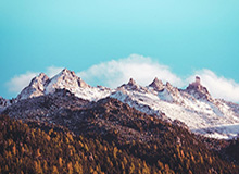 想要刷到这些坐骑，运气比技术更重要——《熊猫人之谜》怀旧服