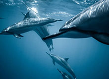 隐藏成就暗示《军团再临》混搭版最终阶段即将到来